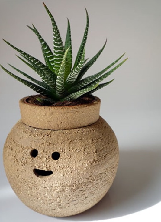 Unique-Indoor-Garden-Gift-Ideas-Terracota-Plant-Pot-Design-by-Namiko-Murakoshi-Hairy-Babes-1.jpg