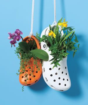 new-uses-clogs-planters_300.jpg