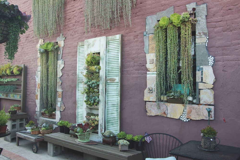 succulent-wall-art-door-windows-vertical-succulent-cafe-oceanside.jpg