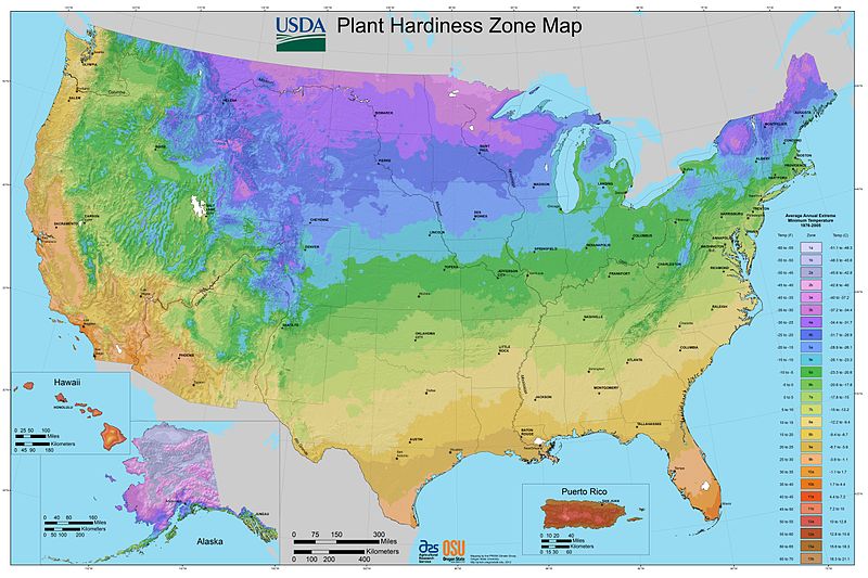 800px-2012_USDA_Plant_Hardiness_Zone_Map_%28USA%29.jpg