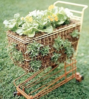 container-gardening-ideas-shopping-cart-used-as-a-salad-planter-21717306.jpg