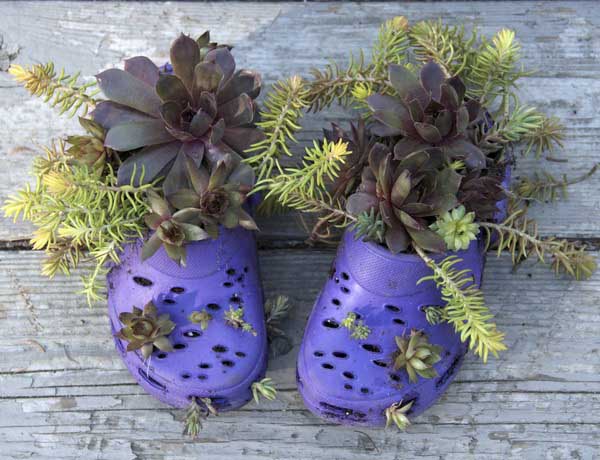 reuse-recycle-shoes-planter-garden-decorations-20.jpg