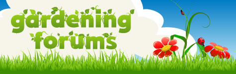 Gardening Forums