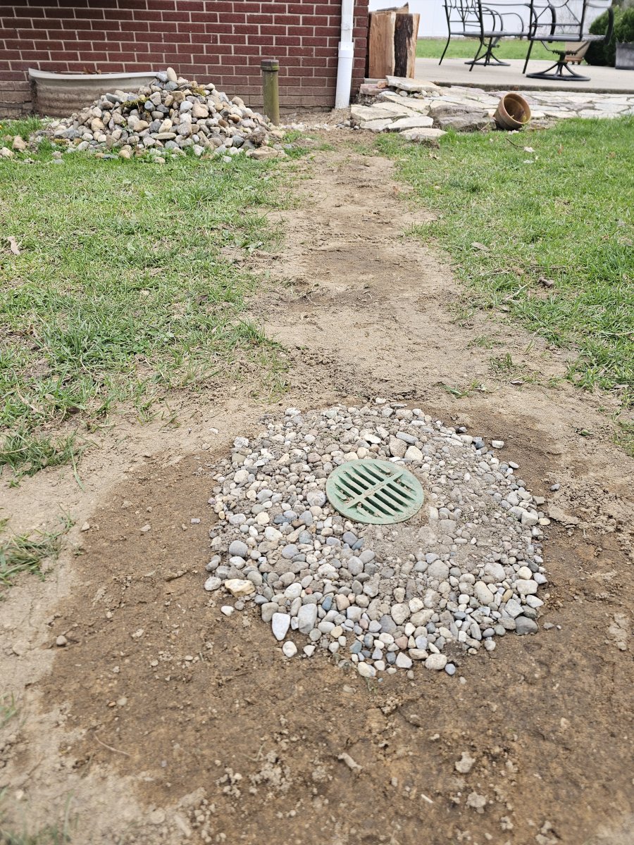 20260417_192411.jpg