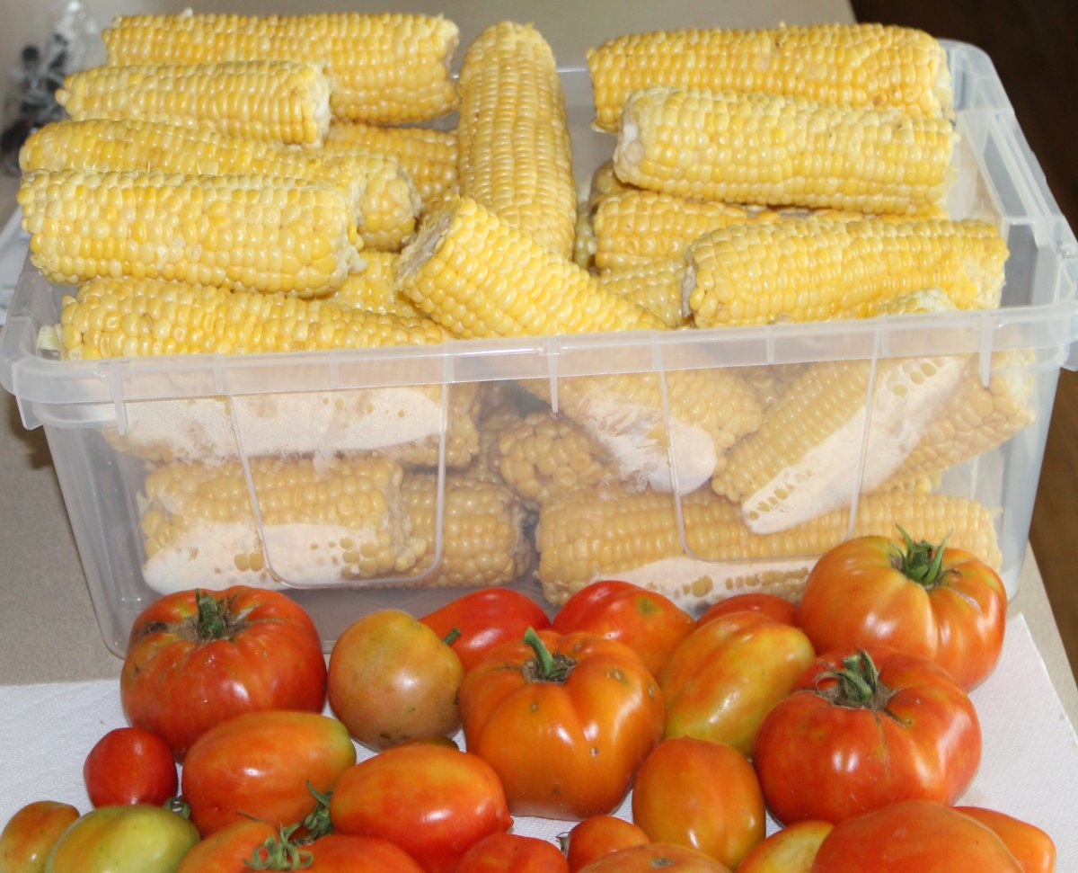 corn and tomatoes 7 1 (2).JPG