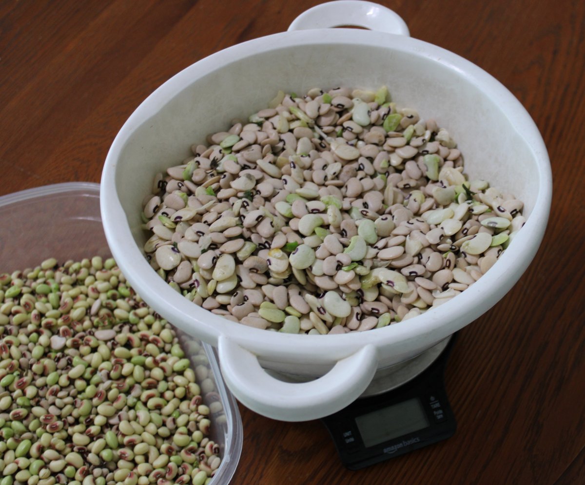 limas and peas.JPG