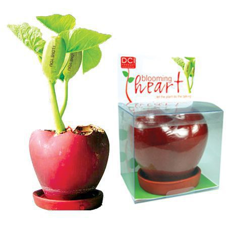 Valentine bloomingheart.jpg
