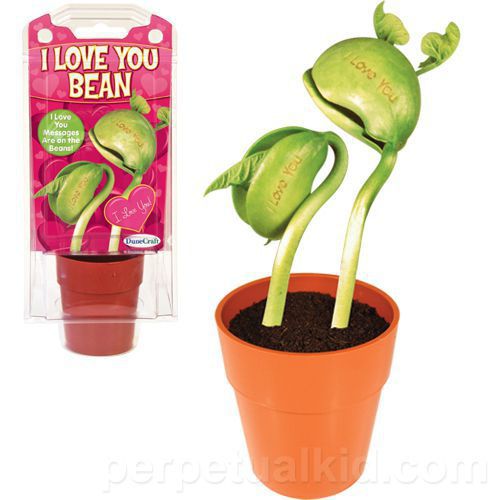 Valentines I-LOVE-YOU-BEAN-KIT.jpg