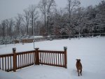 12-26-2010 snow 012.JPG