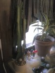 CAM00331.jpg