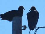IMG_0007.JPG