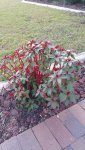 20151209_125216.jpg