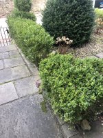 IMG_7546.jpeg IMG_7546.jpeg