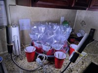 IMG_2428.jpeg