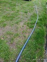 grass5.jpeg