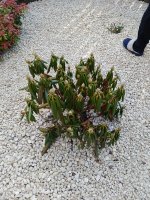 IMG-20240517-WA0000.jpg