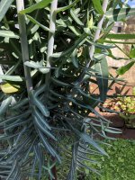 IMG_2194.jpeg