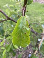 IMG_6928.jpeg