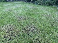 IMG_7830.jpeg