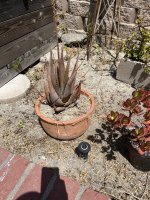 IMG_3035.jpeg