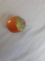 20240606_114738.jpg