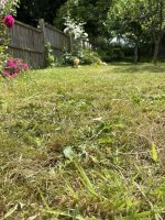 IMG_0791.JPEG