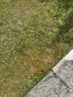IMG_0792.JPEG