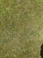 IMG_0793.JPEG