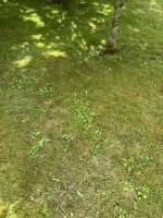 IMG_0794.JPEG