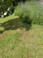 IMG_0797.JPEG