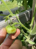 IMG_3192.jpeg