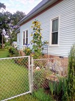 IMG_20240629_072828.jpg