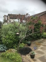 IMG_1681.jpeg