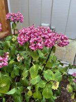 IMG_6863.jpg