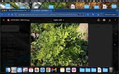 Screenshot 2024-09-05 at 6.48.39 PM.jpg