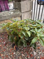 IMG_8672.jpeg