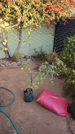 IMG-20240223-WA0010.jpeg