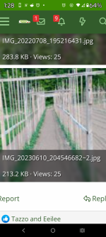 Screenshot_20250125-132846_Chrome.png