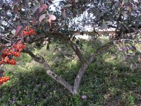 IMG_1051.jpeg
