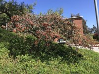 IMG_1049.jpeg