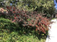 IMG_1047.jpeg