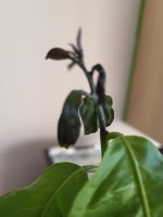 20250320_072300.jpg