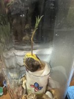 IMG_2564.jpeg