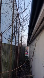 IMG_20250324_182358.jpg