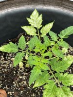 IMG_1966.JPG