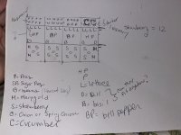 IMG_1591.jpeg