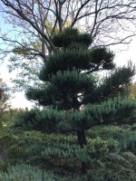 IMG_1068.jpeg