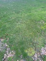 IMG_8254.jpeg