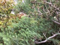 IMG_1069.jpeg