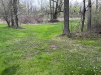 side back reseeding (small).jpeg